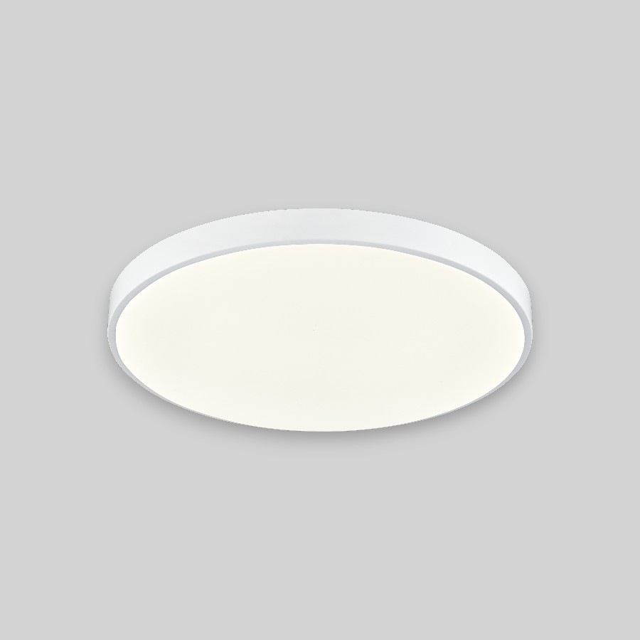 Потолочный светильник круглый PP-2018 White 6000K