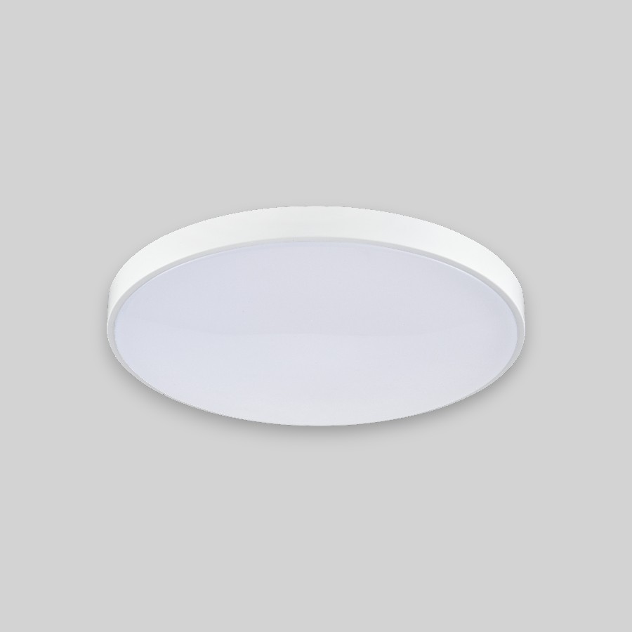 Потолочный светильник круглый PP-2018 White 6000K
