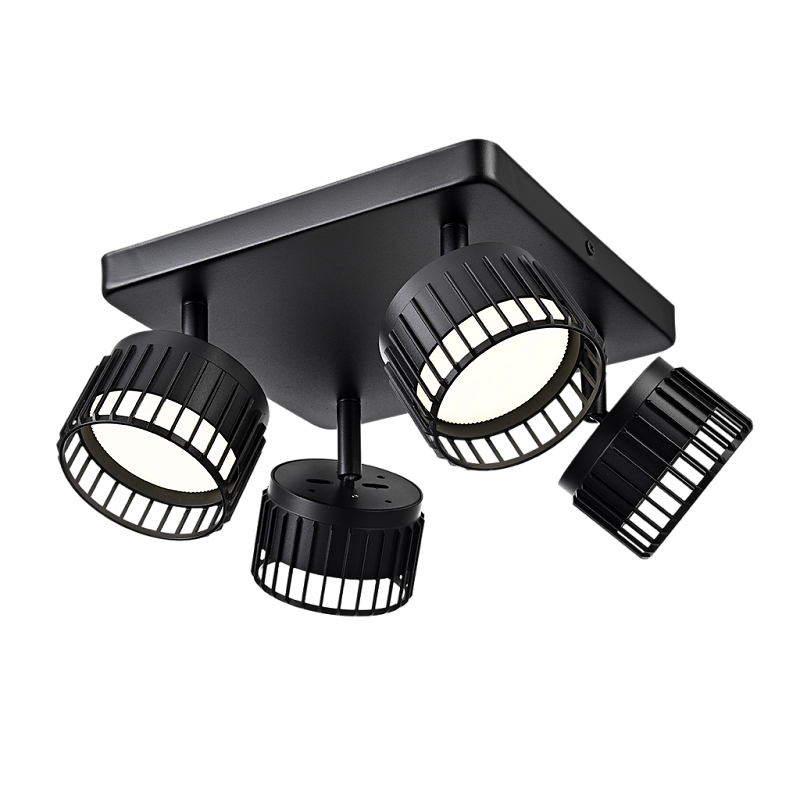 Светильник спот PP-6639-4B