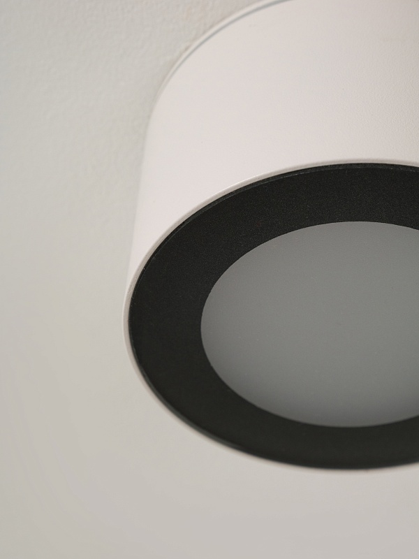 Светильник накладной потолочный PP-5390 WH+BK