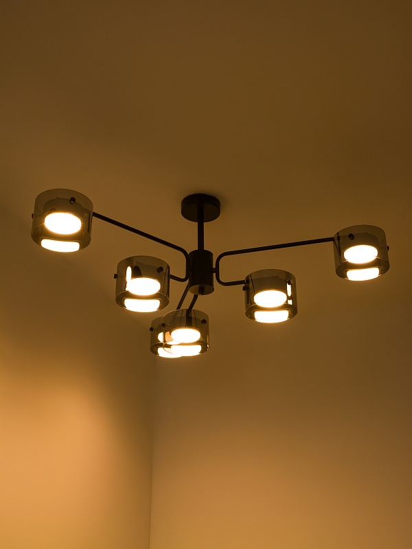 Потолочная люстра со стеклянными плафонами PP-53111-6-black