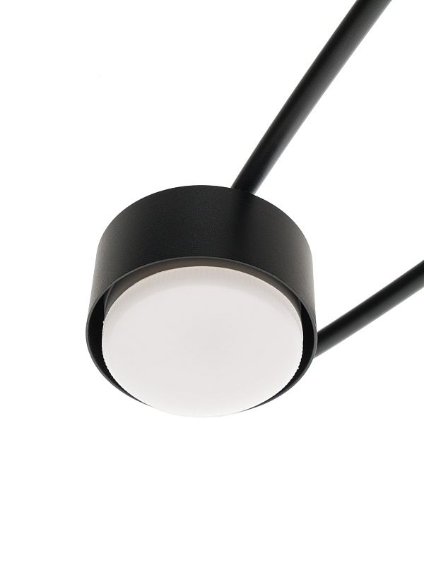 Потолочная люстра PP-6658/8 черная