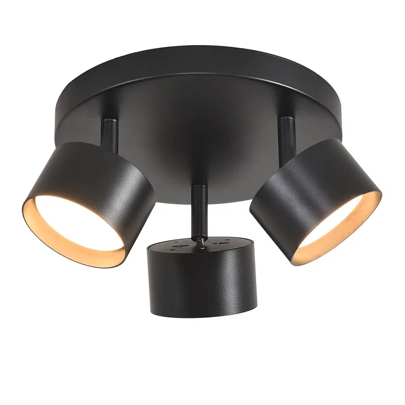 Светильник спот PP-103R BK