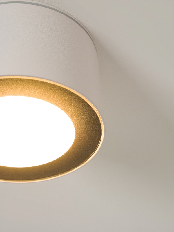 Светильник накладной потолочный PP-5390 WH+BK