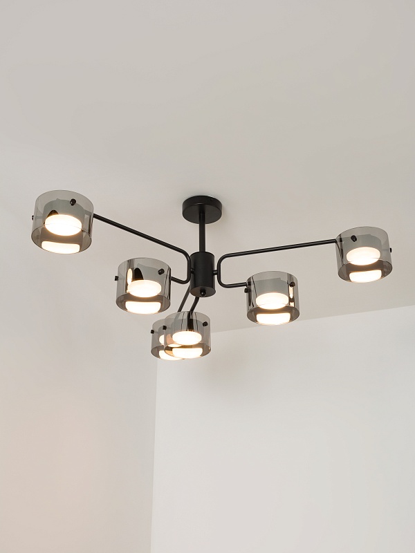 Потолочная люстра со стеклянными плафонами PP-53111-6-black