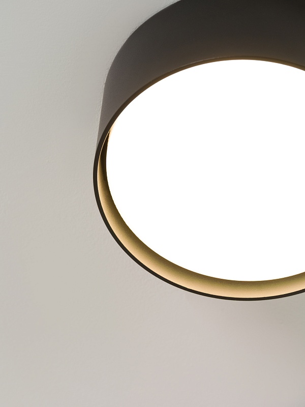 Светильник накладной потолочный PP-3637 черный