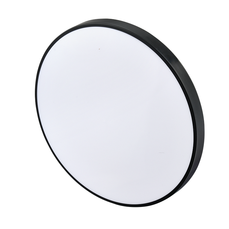 Потолочный светильник круглый PP-2018 Black 6000K