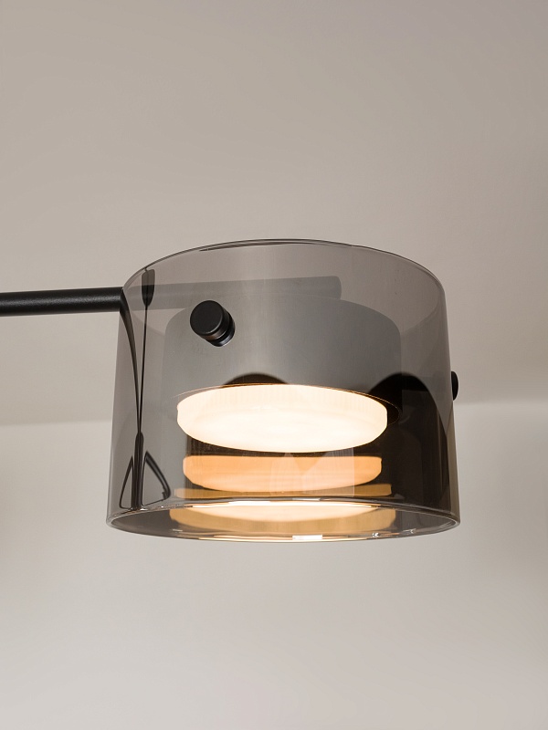 Потолочная люстра со стеклянными плафонами PP-53111-6-black