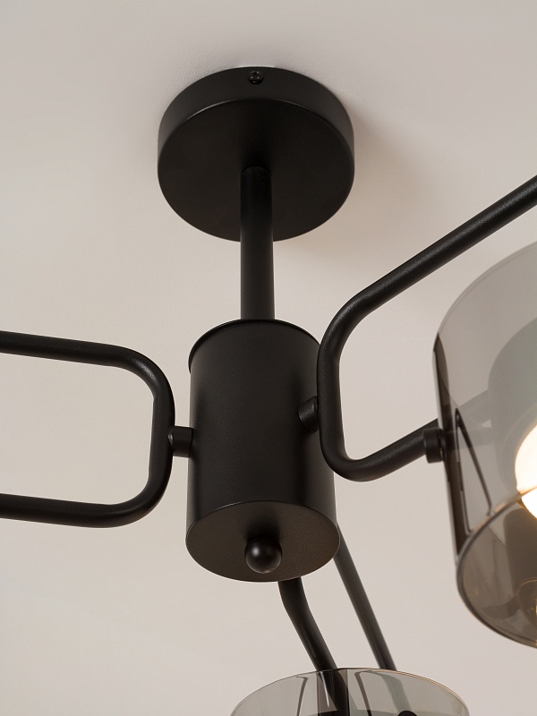 Потолочная люстра со стеклянными плафонами PP-53111-6-black