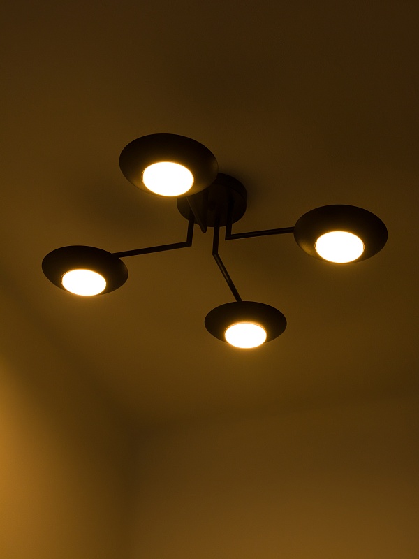 Потолочная люстра PP-53114-4-black