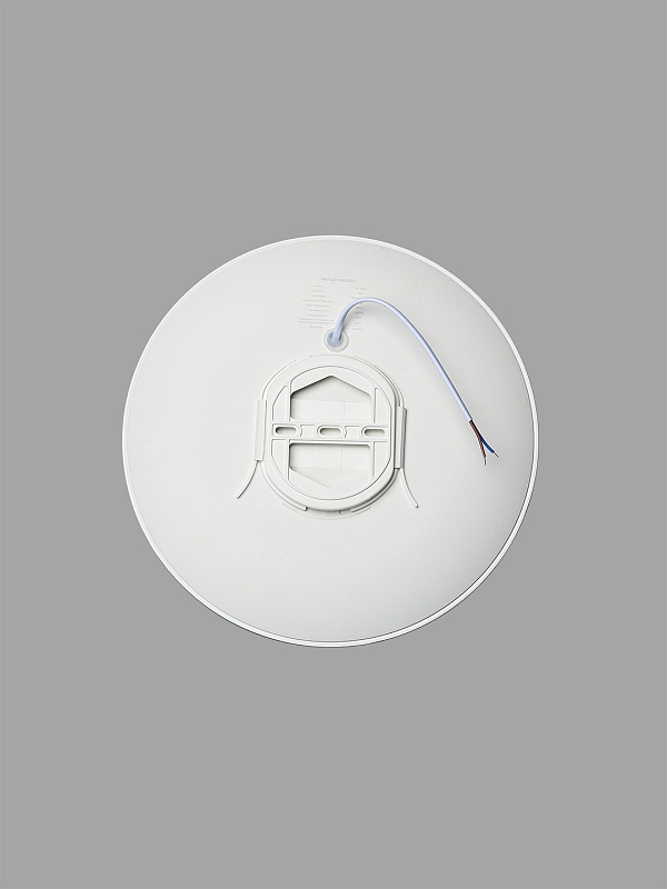 Потолочный светильник круглый PP-2818 White 6000K