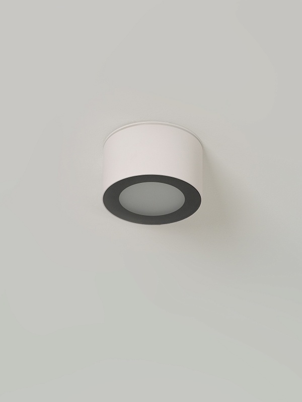 Светильник накладной потолочный PP-5390 WH+BK