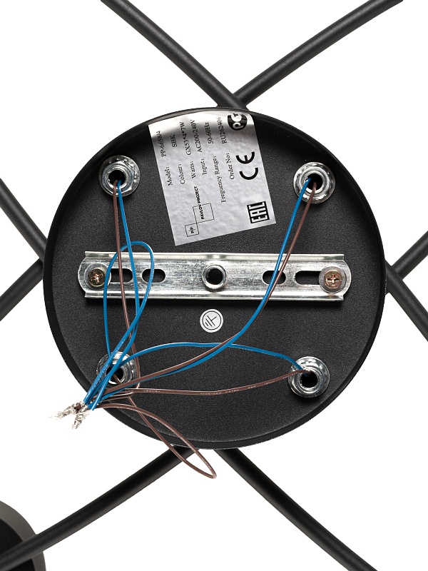 Потолочная люстра PP-6658/4 черная