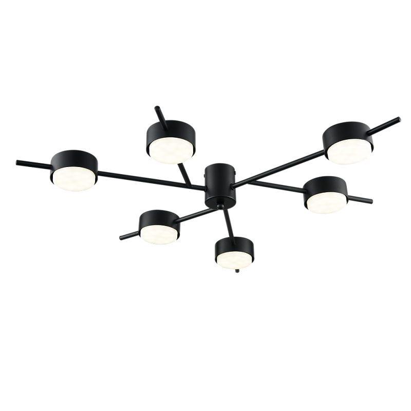 Потолочная люстра PP-6717/6 черная