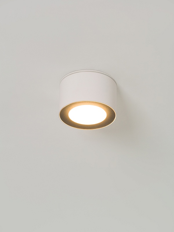 Светильник накладной потолочный PP-5390 WH+BK