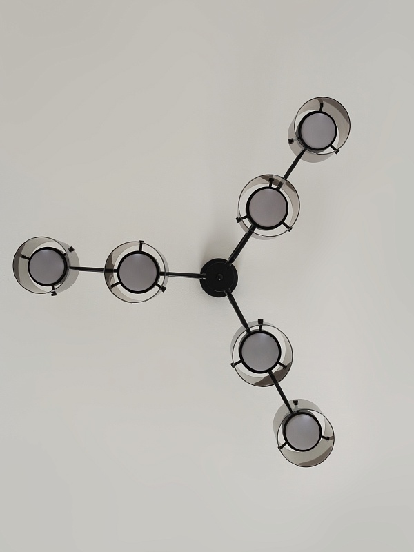 Потолочная люстра со стеклянными плафонами PP-53111-6-black