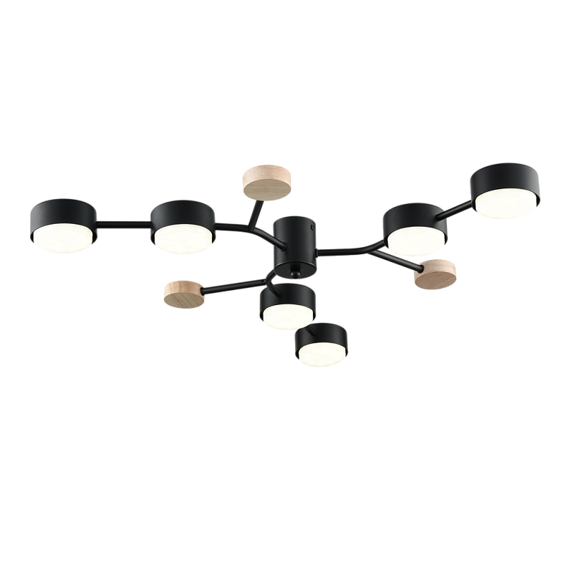 Потолочная люстра PP-6713/6 черная