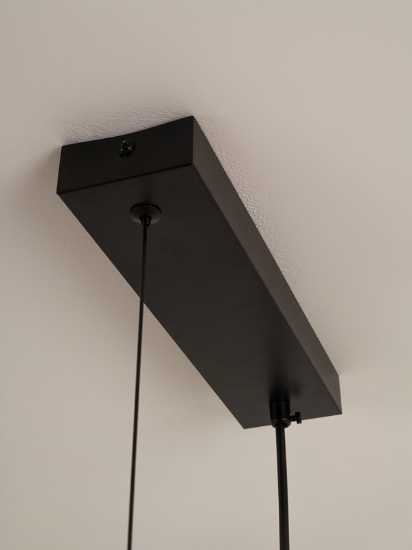 Подвесная люстра со стеклянными плафонами PP-53113-4-black