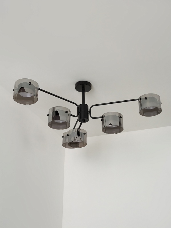 Потолочная люстра со стеклянными плафонами PP-53111-6-black