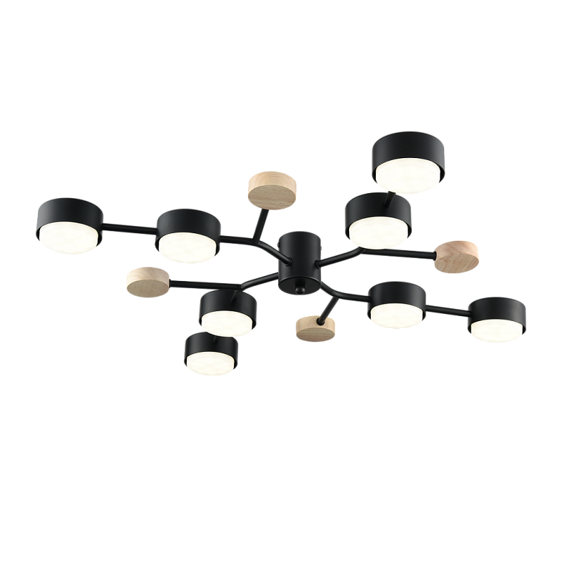 Потолочная люстра PP-6713/8 черная