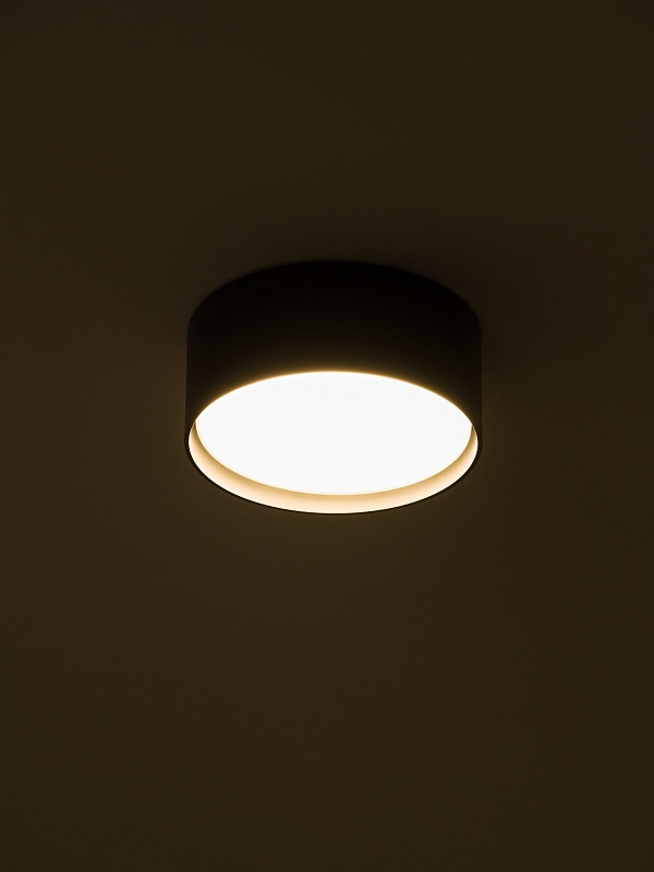 Светильник накладной потолочный PP-3637 черный