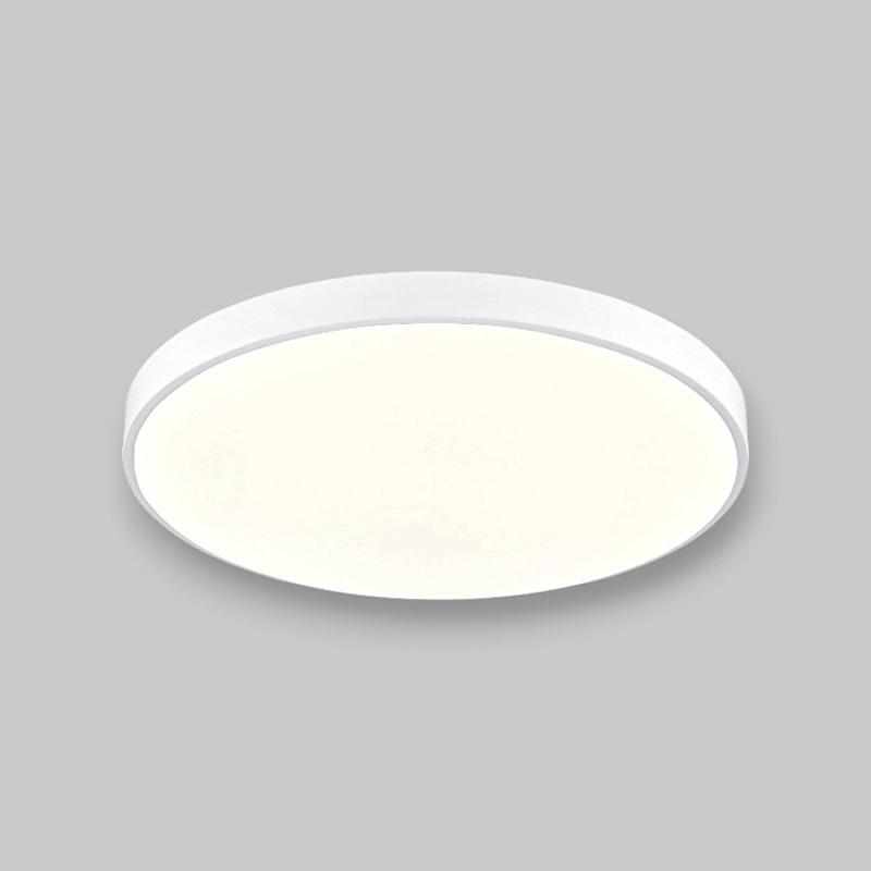 Потолочный светильник круглый PP-2818 White 6000K