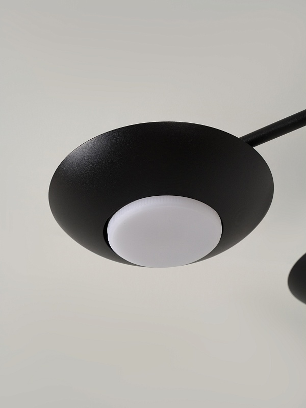 Потолочная люстра PP-53114-6-black
