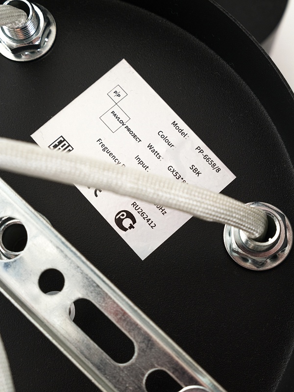 Потолочная люстра PP-6658/8 черная