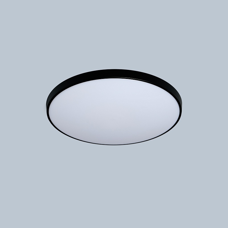 Потолочный светильник круглый PP-2818 Black 6000K