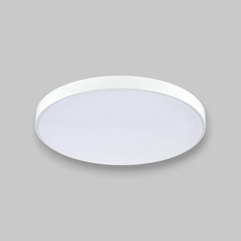 Потолочный светильник круглый PP-2818 White 6000K