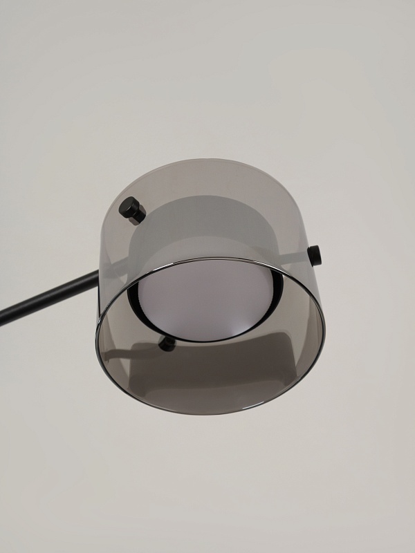 Потолочная люстра со стеклянными плафонами PP-53111-6-black