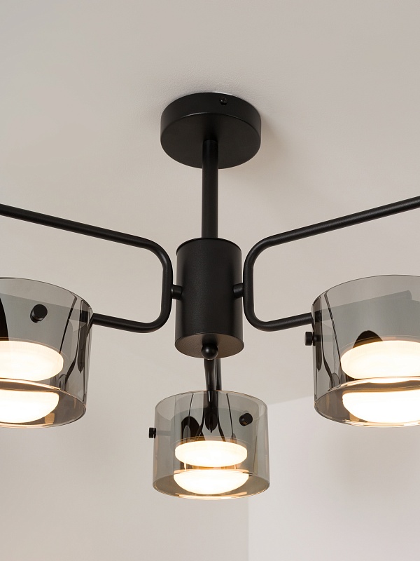 Потолочная люстра со стеклянными плафонами PP-53111-6-black